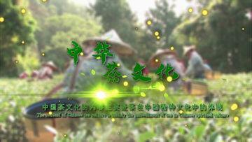 茶叶爆料视频大全下载,视频大全带你领略茶香魅力  第2张